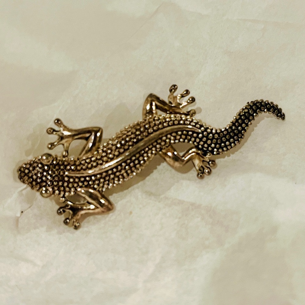 Vintage Silver Styled w/ Dark accents Reptile Brooch Salamander